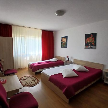 Casa Rustica Apart & Rooms Cîmpineanca Zewnętrze zdjęcie