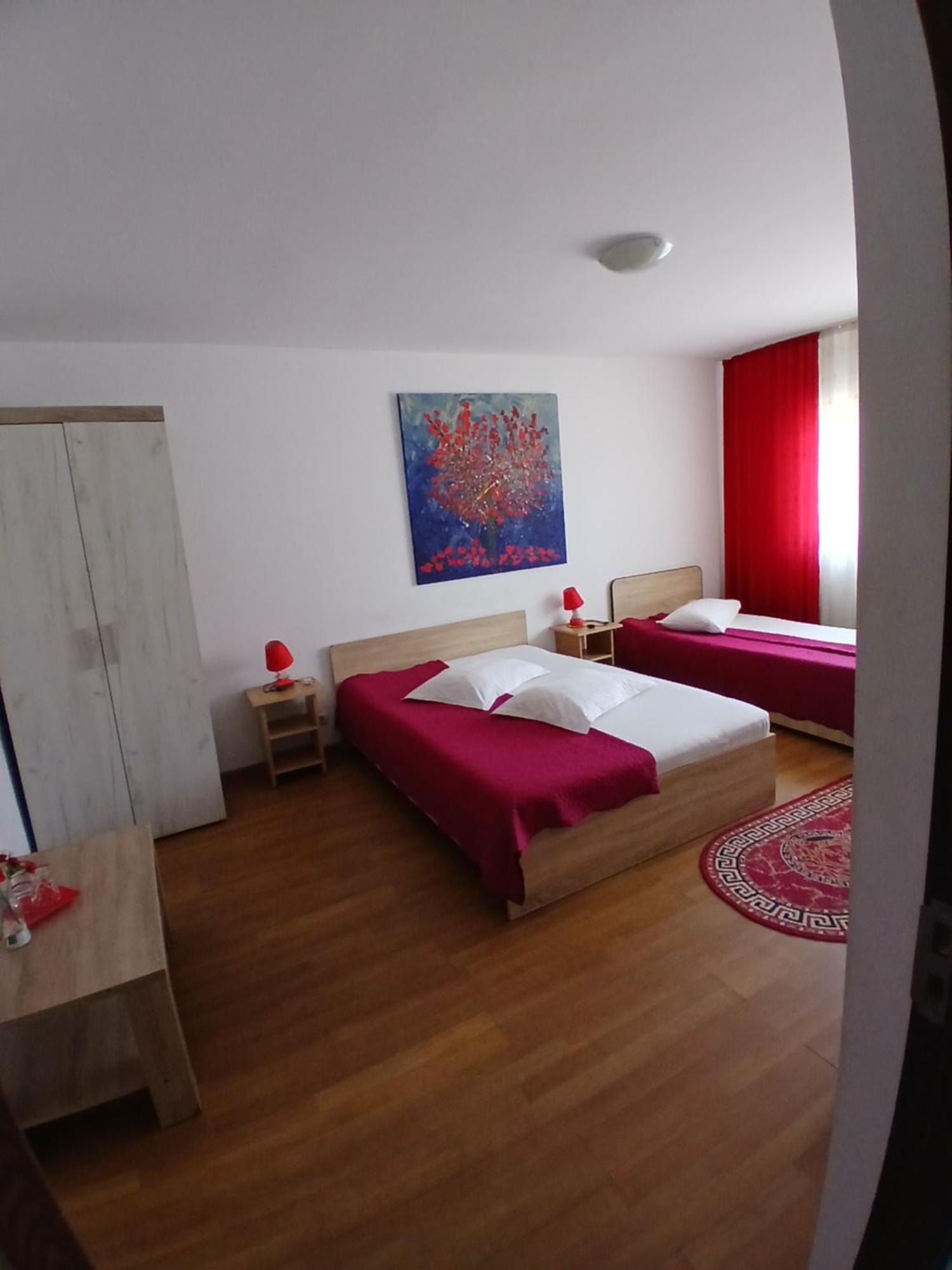 Casa Rustica Apart & Rooms Cîmpineanca Zewnętrze zdjęcie