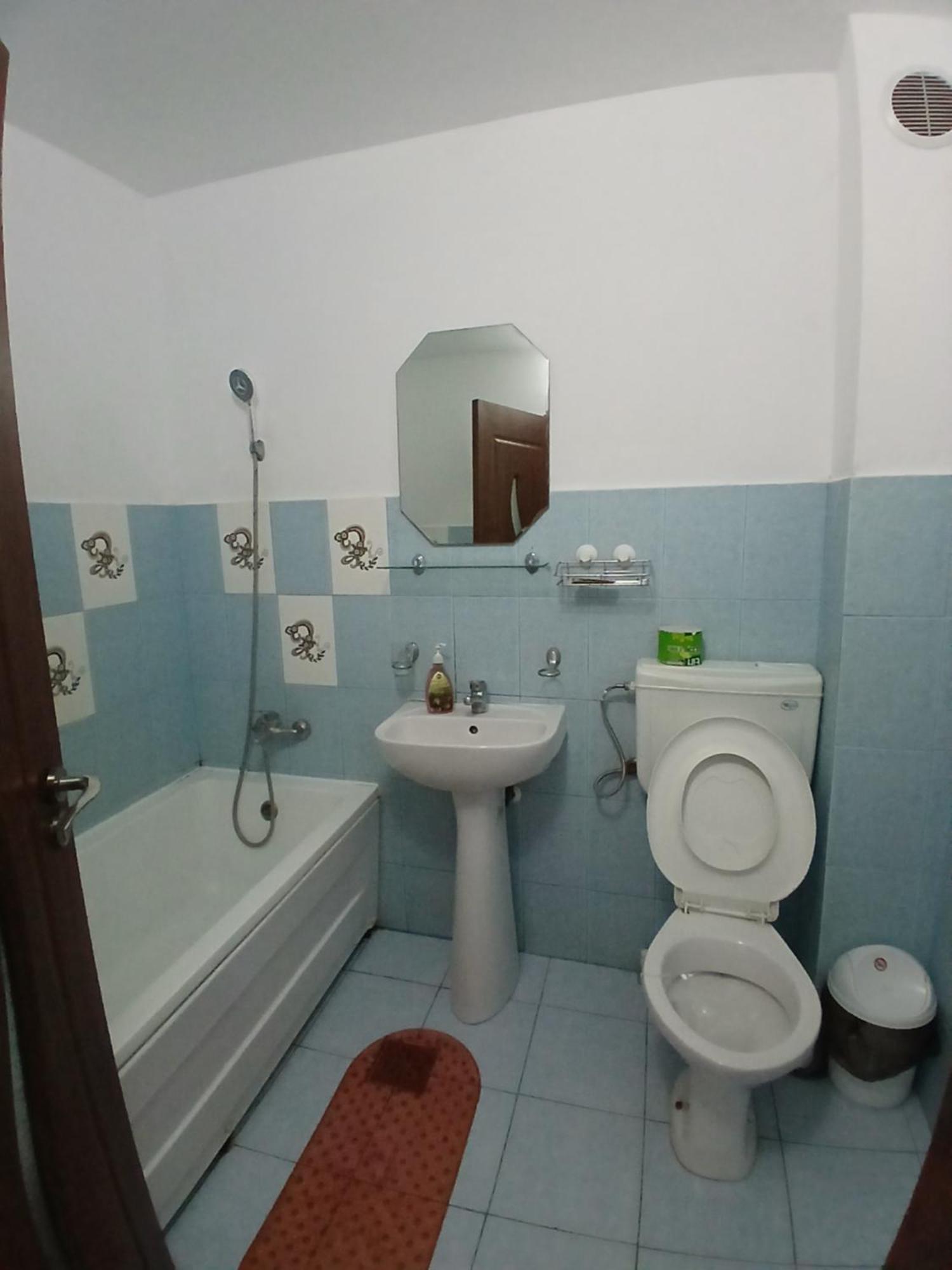 Casa Rustica Apart & Rooms Cîmpineanca Zewnętrze zdjęcie