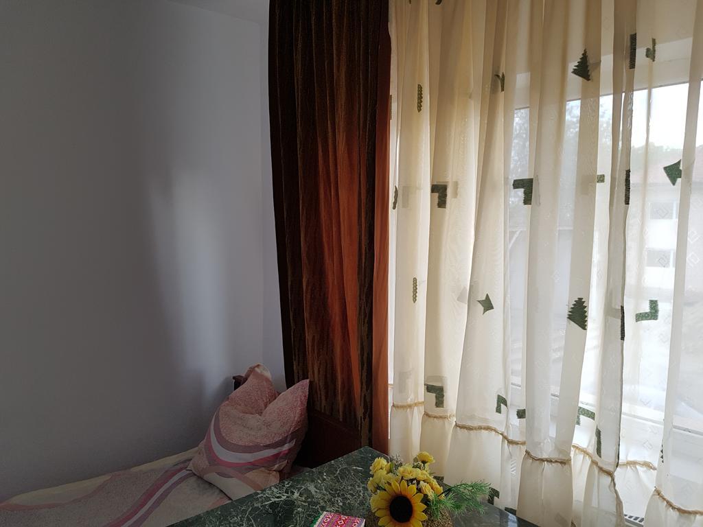 Casa Rustica Apart & Rooms Cîmpineanca Zewnętrze zdjęcie