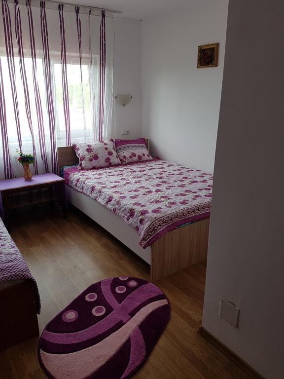 Casa Rustica Apart & Rooms Cîmpineanca Zewnętrze zdjęcie