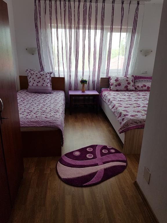 Casa Rustica Apart & Rooms Cîmpineanca Zewnętrze zdjęcie