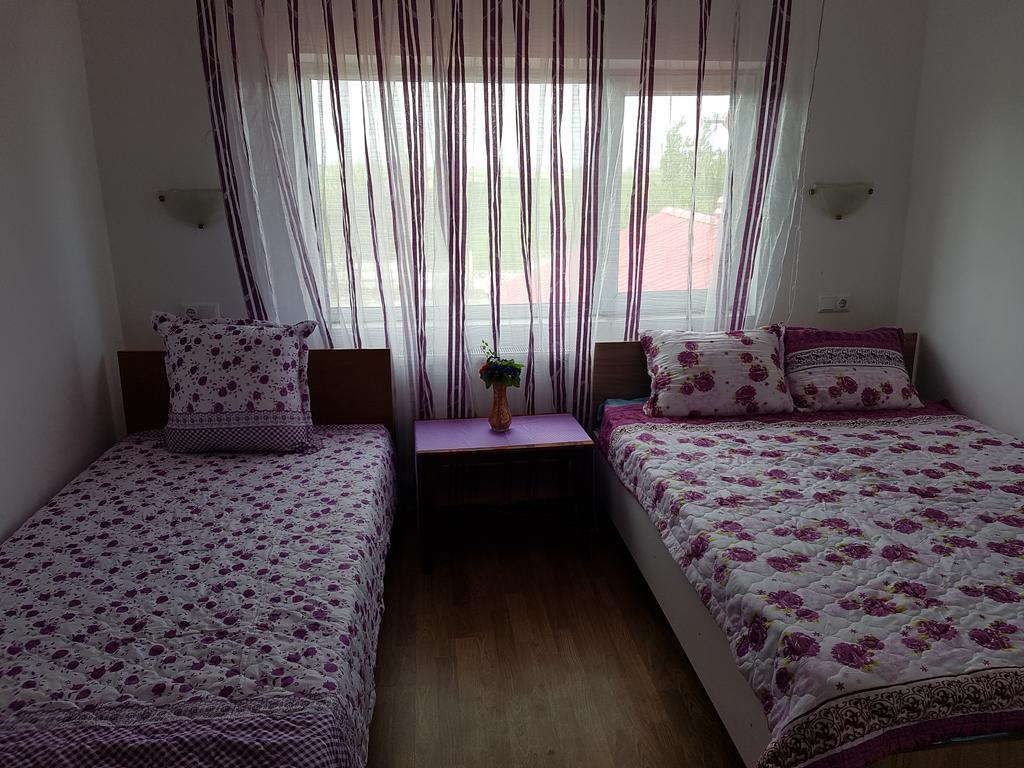 Casa Rustica Apart & Rooms Cîmpineanca Zewnętrze zdjęcie