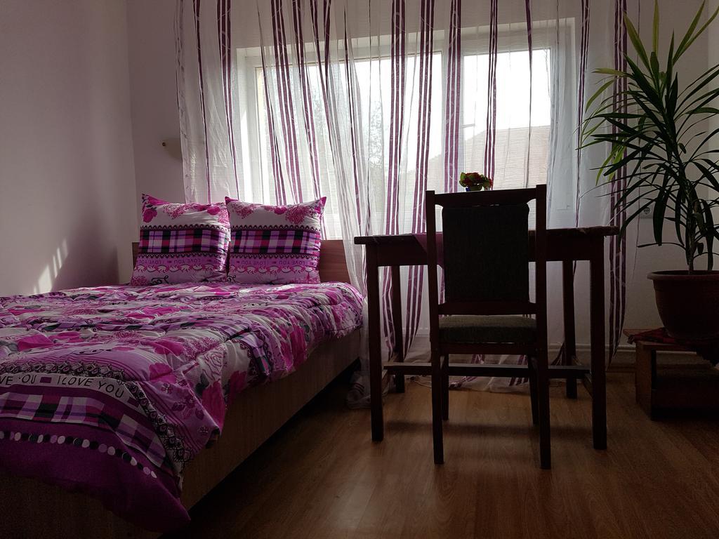 Casa Rustica Apart & Rooms Cîmpineanca Zewnętrze zdjęcie