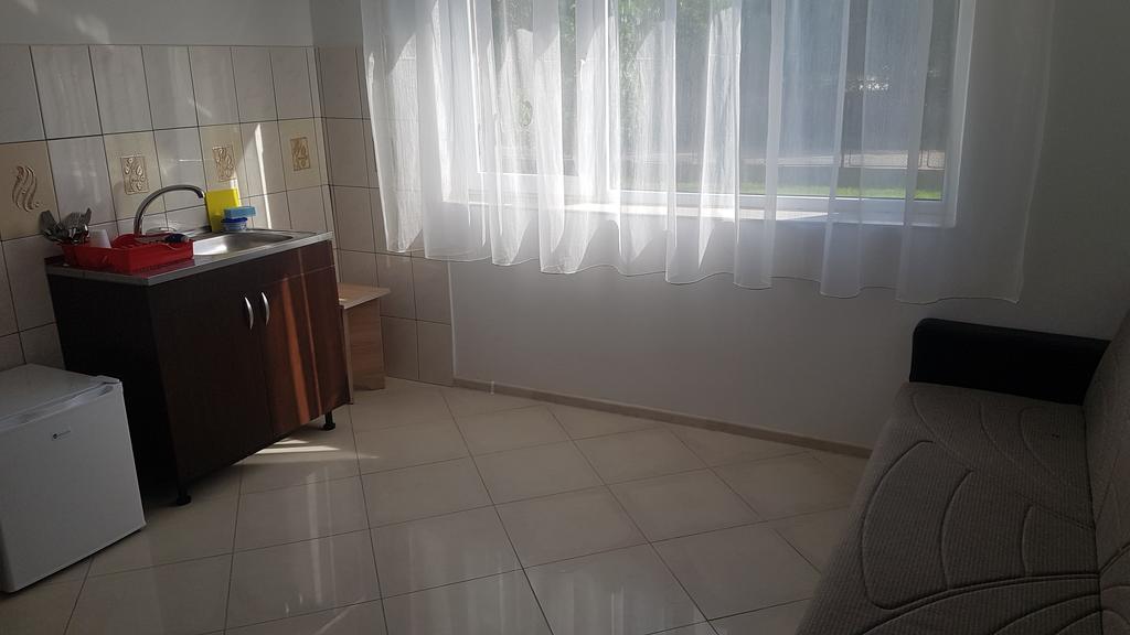 Casa Rustica Apart & Rooms Cîmpineanca Zewnętrze zdjęcie