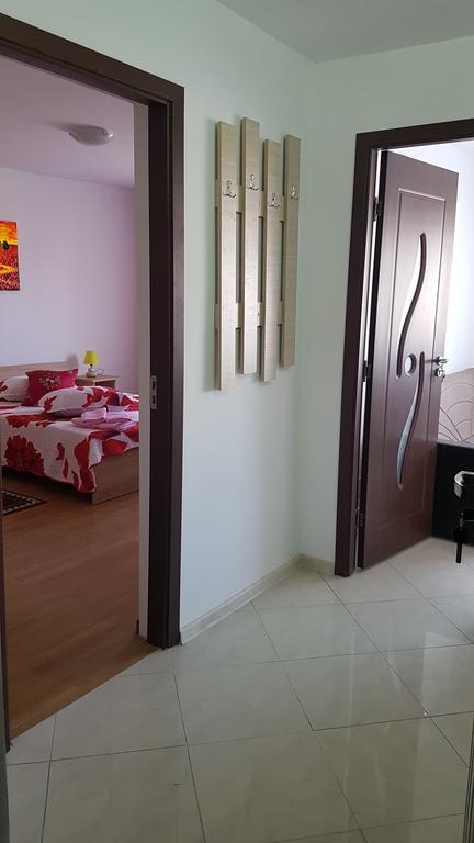 Casa Rustica Apart & Rooms Cîmpineanca Zewnętrze zdjęcie
