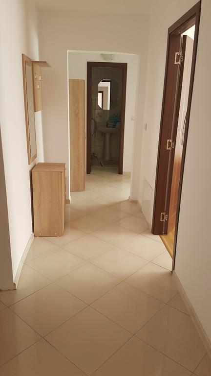 Casa Rustica Apart & Rooms Cîmpineanca Zewnętrze zdjęcie